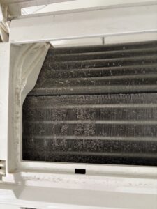 893A29EF-FB3B-40FA-95AE-DA721CDF6925_1_102_o