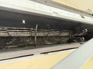 9A5BC7F9-2BB3-4F29-909E-F3F8FE17456D_1_102_o